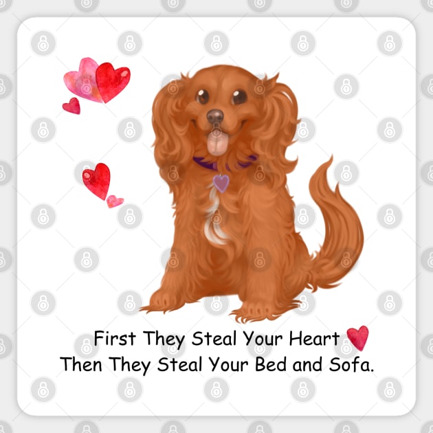 My Ruby Cavalier King Charles Spaniel Stole My Heart, Then My Bed and Sofa. Sticker by Cavalier Gifts
